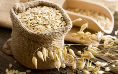 WhatsApp Image 2025-06-02 at 17.32.47