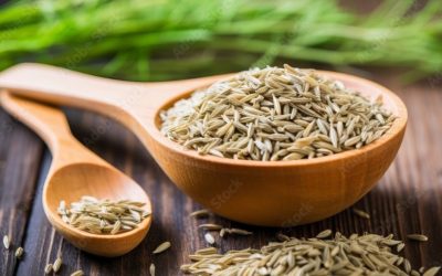 WhatsApp Image 2025-06-02 at 17.32.51 (1)