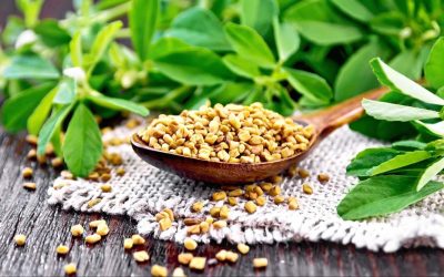 WhatsApp Image 2025-06-02 at 17.32.51 (3)