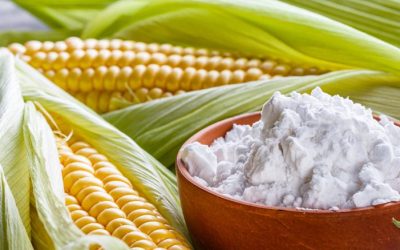 WhatsApp Image 2025-06-02 at 17.32.52 (1)